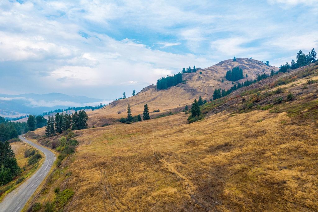 361 Lone Ranch Creek Rd, Curlew, WA 99121 photo 33