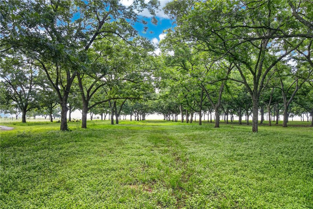 14575 County Road 227, Caldwell, TX 77836 — photo 2