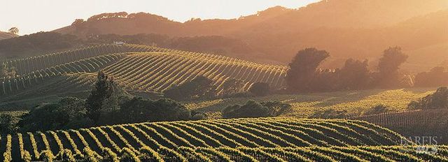 266 Cambridge Ln, Petaluma, CA 94952