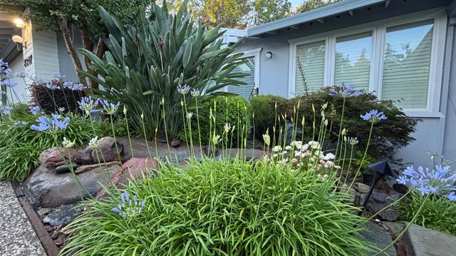 8347 Woodborough Way, Fair Oaks, CA 95628