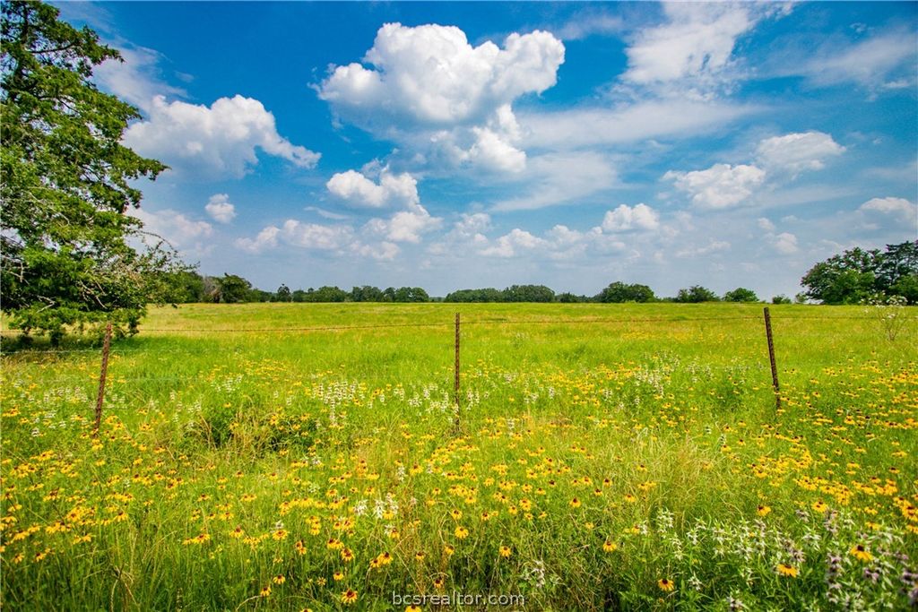 TBD (Lot 26) Legacy Road, Somerville, TX 77879 — photo 4