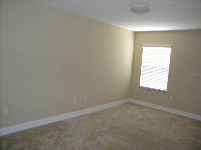 7810 TUSCANY WOODS DRIVE, Tampa, FL 33647