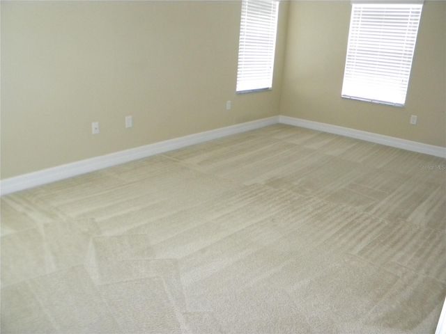 7810 TUSCANY WOODS DRIVE, Tampa, FL 33647