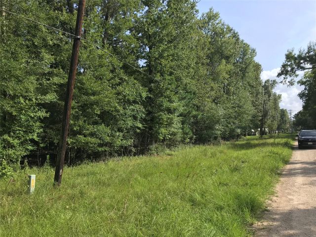 Lot 193 Elmwood Drive, Livingston, TX 77351