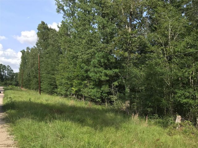 Lot 193 Elmwood Drive, Livingston, TX 77351