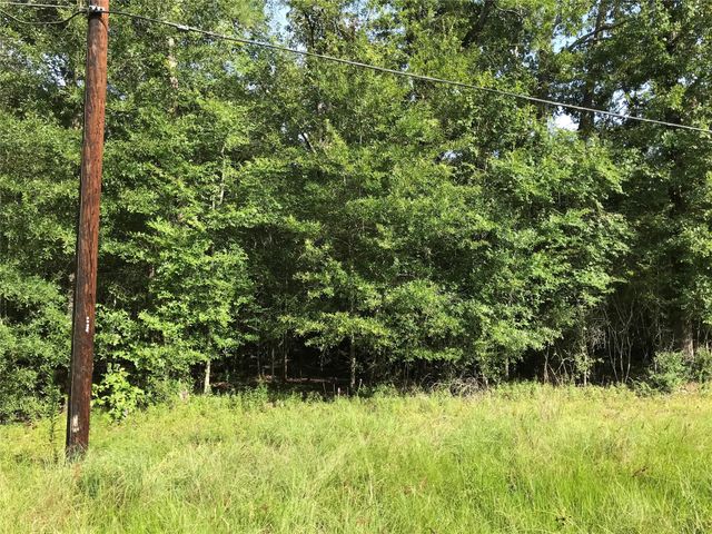 Lot 193 Elmwood Drive, Livingston, TX 77351