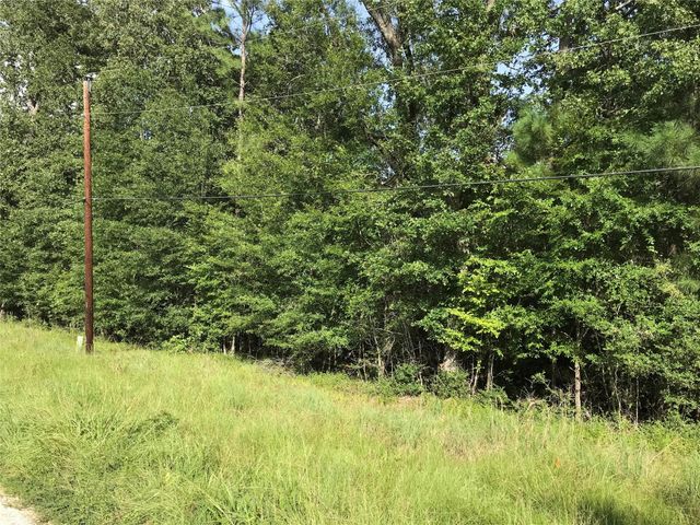 Lot 193 Elmwood Drive, Livingston, TX 77351