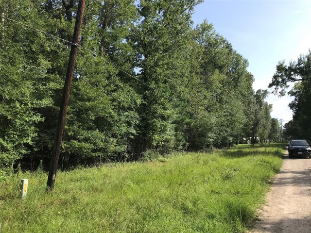 Lot 193 Elmwood Drive, Livingston, TX 77351
