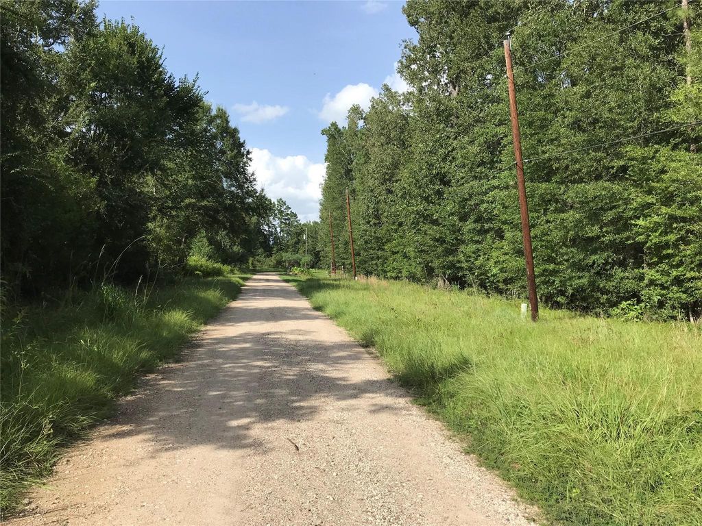 Lot 193 Elmwood Drive, Livingston, TX 77351