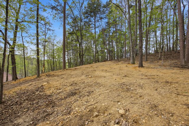 8769 Hidden Branches Road, Harrison, TN 37341