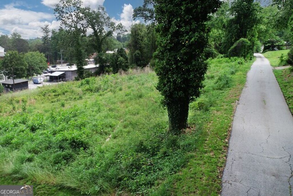 170 Tomlin Alley Alley, Demorest, GA 30535 — photo 2