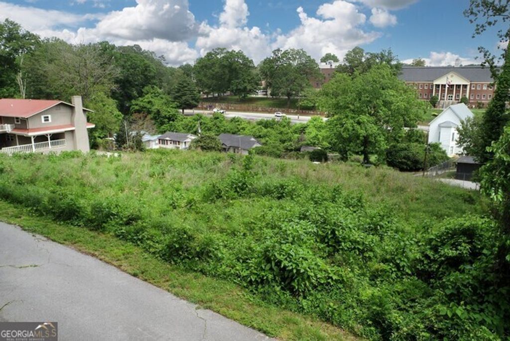 170 Tomlin Alley Alley, Demorest, GA 30535 — photo 3