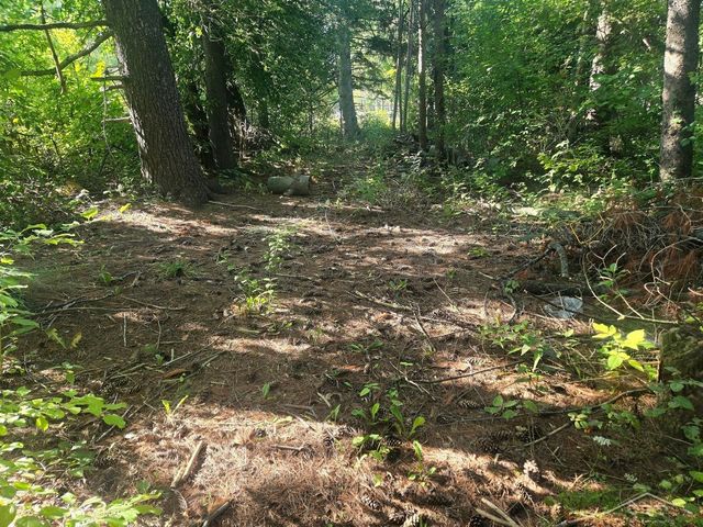 3715 Shattuck Road, Saginaw Twp, MI 48603