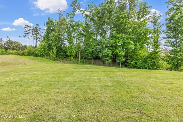 10515 S Long Bridge Road, Olive Branch, MS 38654