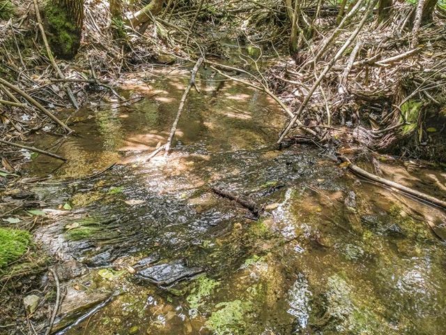 83.9 Ac Cutcane Road, Mineral Bluff, GA 30559