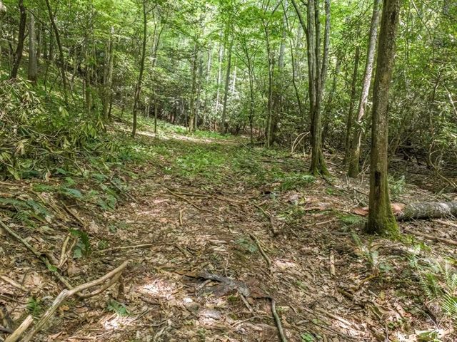 83.9 Ac Cutcane Road, Mineral Bluff, GA 30559