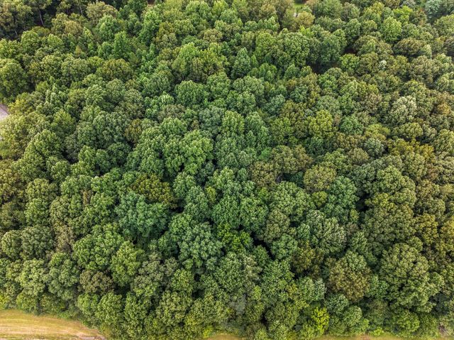 0 Iron Hill Rd, Burns, TN 37029