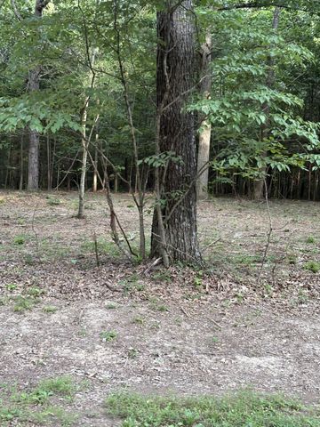 0 Iron Hill Rd, Burns, TN 37029