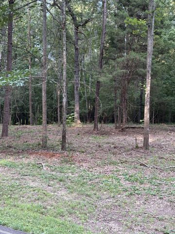 0 Iron Hill Rd, Burns, TN 37029