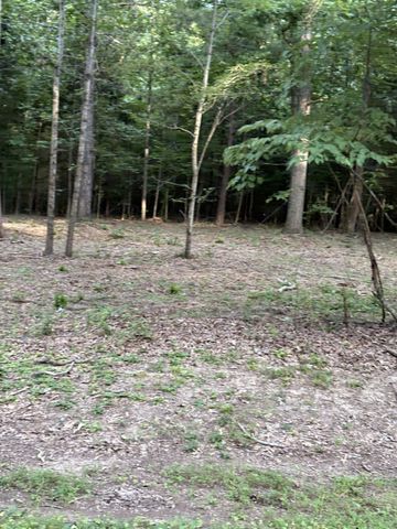 0 Iron Hill Rd, Burns, TN 37029