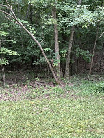 0 Iron Hill Rd, Burns, TN 37029