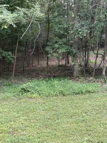 0 Iron Hill Rd, Burns, TN 37029