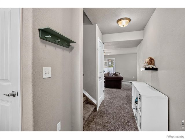 1832 Ruddlesway Drive, Windsor, CO 80550