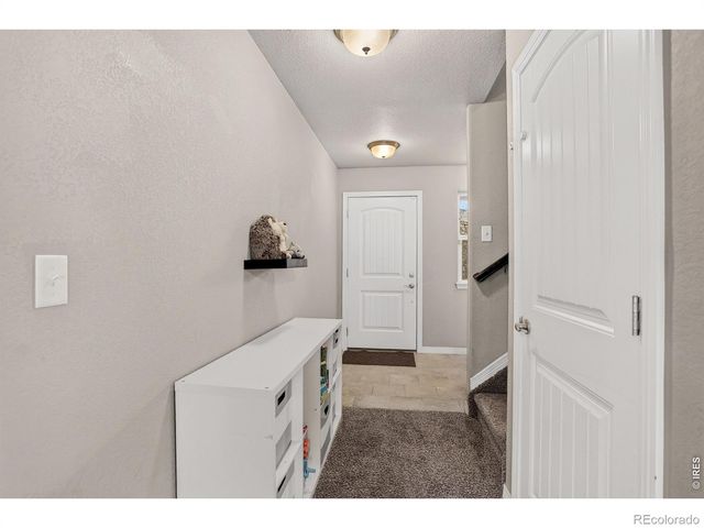 1832 Ruddlesway Drive, Windsor, CO 80550