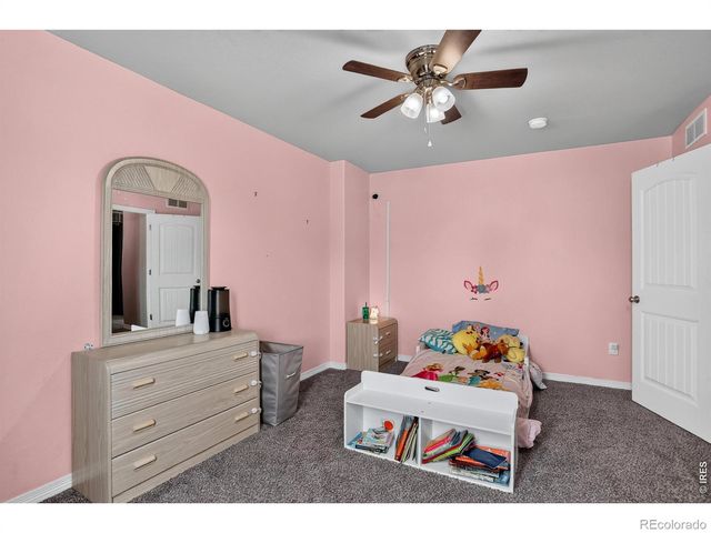 1832 Ruddlesway Drive, Windsor, CO 80550
