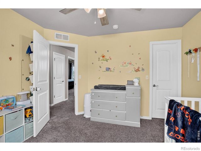 1832 Ruddlesway Drive, Windsor, CO 80550
