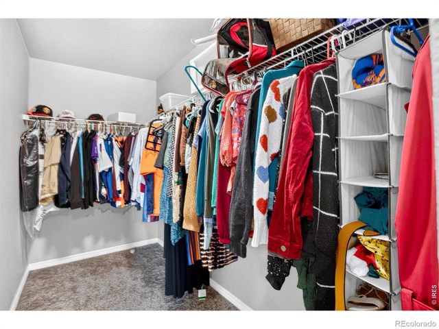1832 Ruddlesway Drive, Windsor, CO 80550