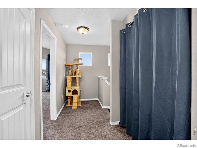 1832 Ruddlesway Drive, Windsor, CO 80550