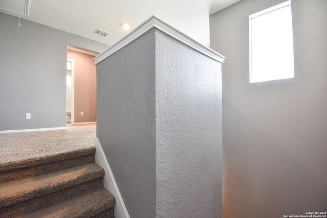 13219 WINEMAKER DR, San Antonio, TX 78223