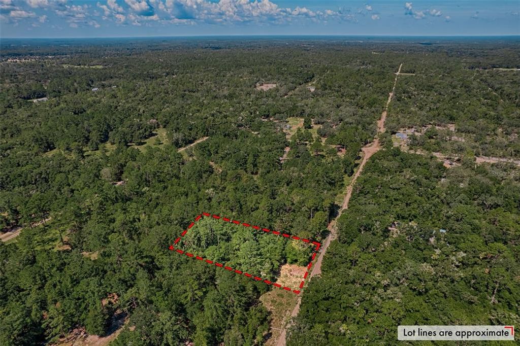 000 NE 83RD LANE, Bronson, FL 32621