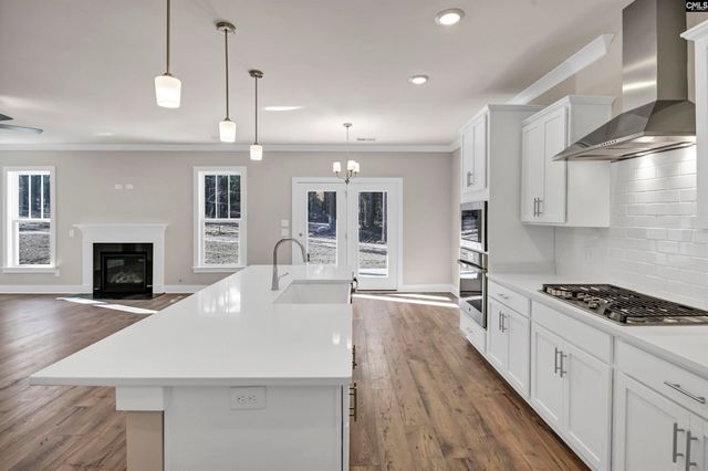 119 Greengarden Drive, Chapin, SC 29036