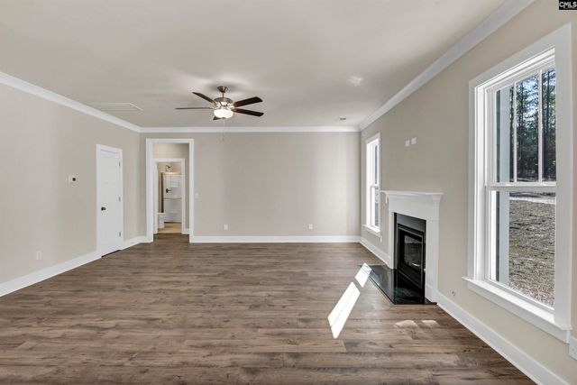 119 Greengarden Drive, Chapin, SC 29036