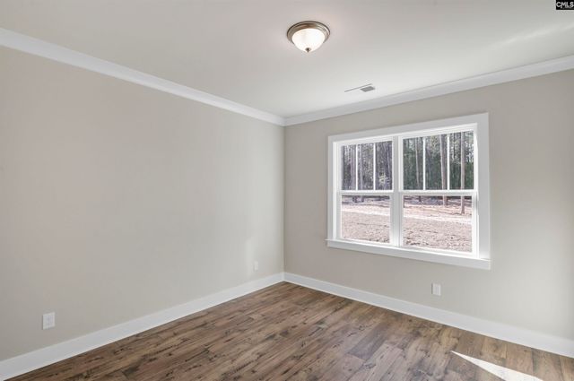 119 Greengarden Drive, Chapin, SC 29036