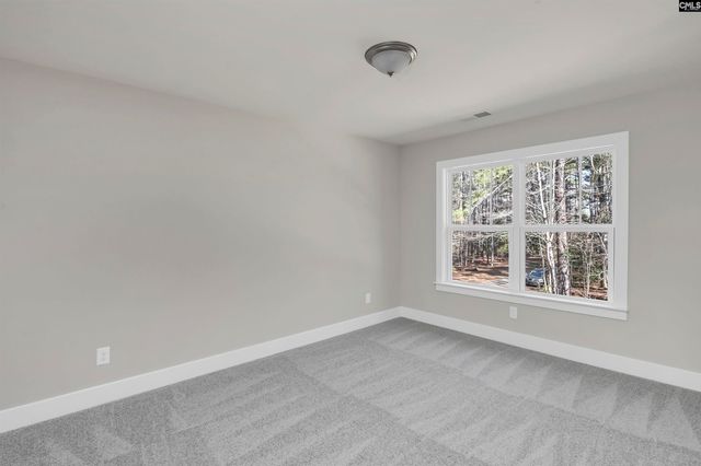 119 Greengarden Drive, Chapin, SC 29036