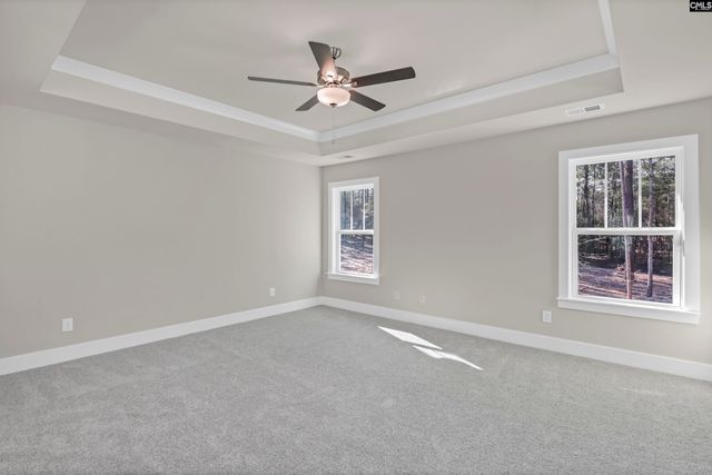 119 Greengarden Drive, Chapin, SC 29036