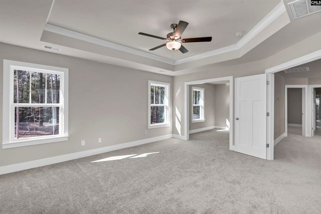 119 Greengarden Drive, Chapin, SC 29036