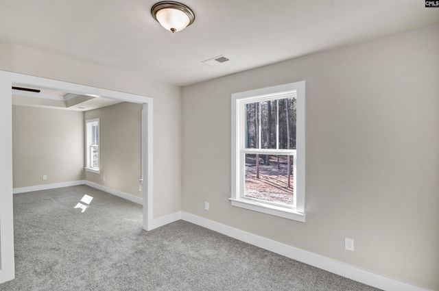 119 Greengarden Drive, Chapin, SC 29036