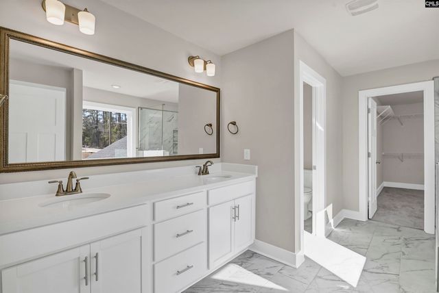 119 Greengarden Drive, Chapin, SC 29036