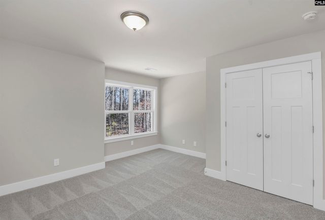 119 Greengarden Drive, Chapin, SC 29036