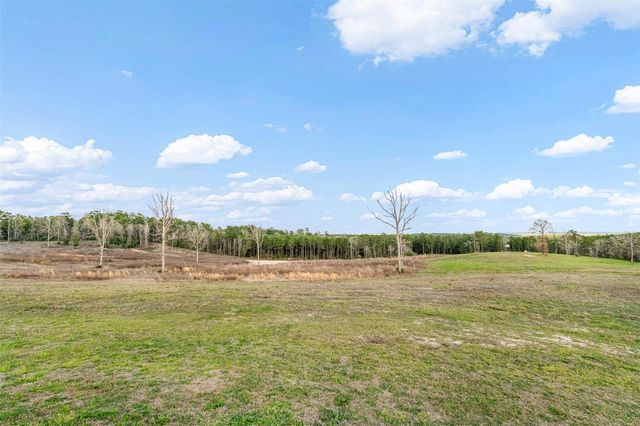 150 Bullyvard, Livingston, TX 77351