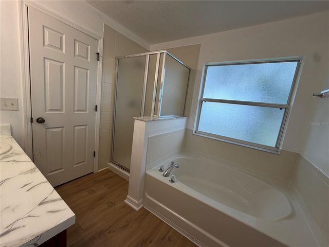 2573 AVENTURINE STREET, Kissimmee, FL 34744