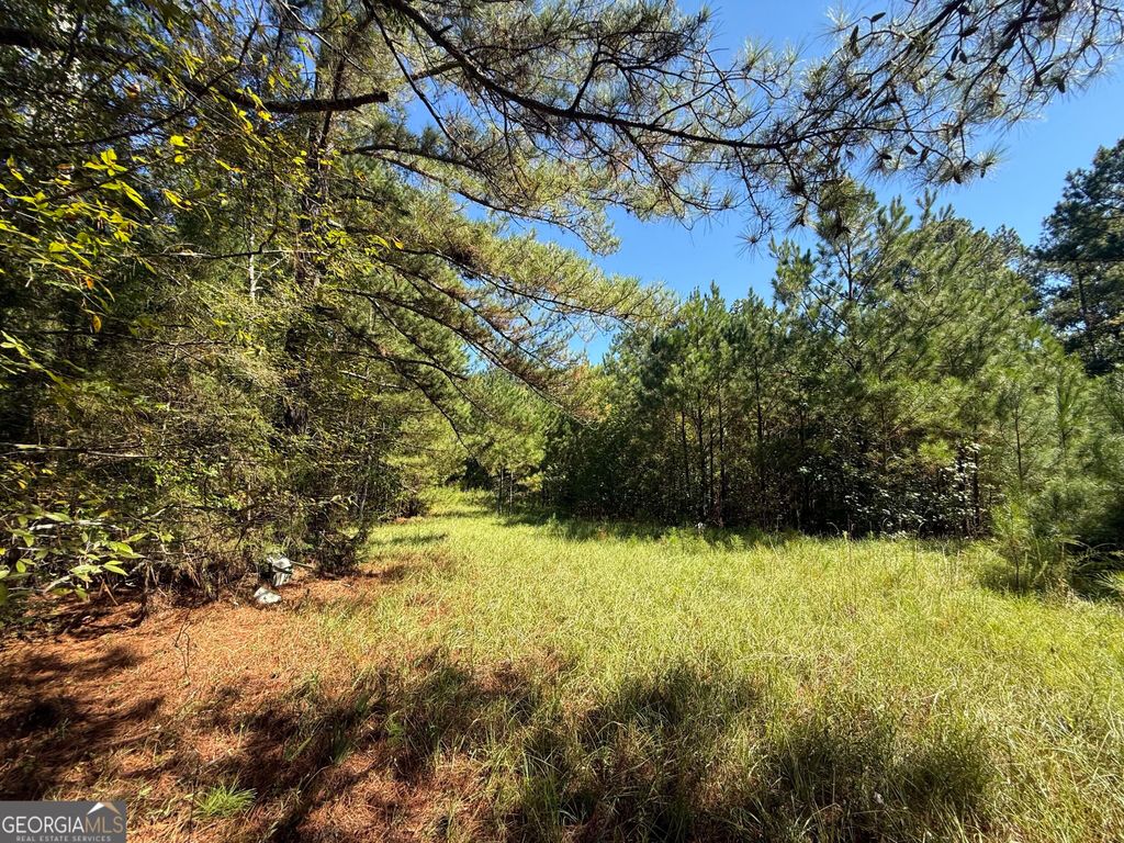 1920 Dimps Allen Road, Elberton, GA 30635 — photo 4