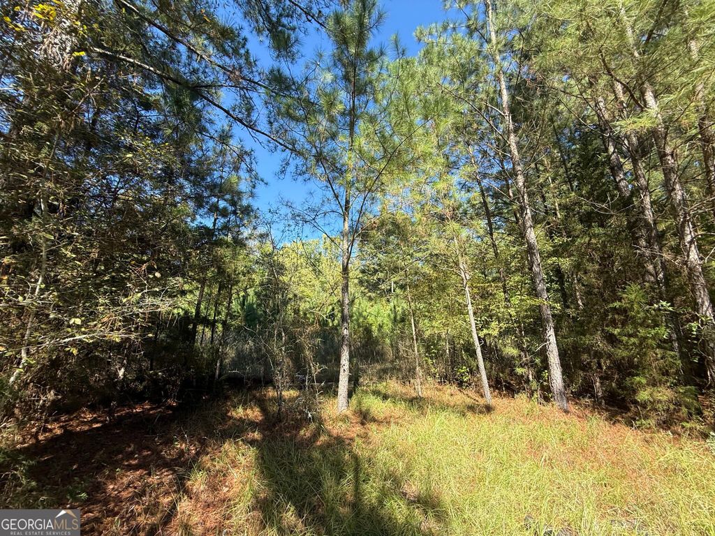 1920 Dimps Allen Road, Elberton, GA 30635 — photo 5