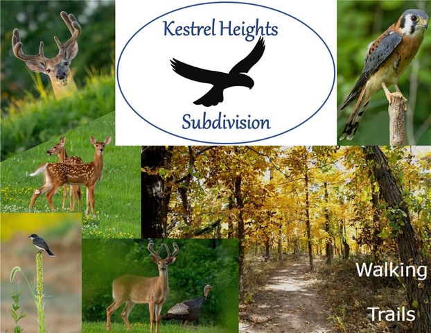 2416 Kestrel Drive SE, Cedar Rapids, IA 52403