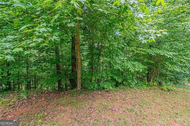 731 Jim Anderson Road, Dahlonega, GA 30533