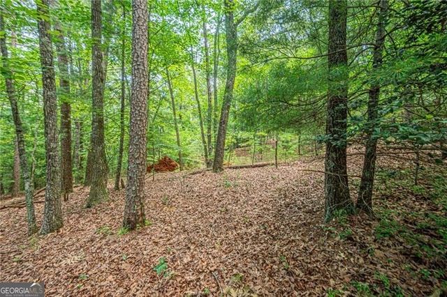 731 Jim Anderson Road, Dahlonega, GA 30533